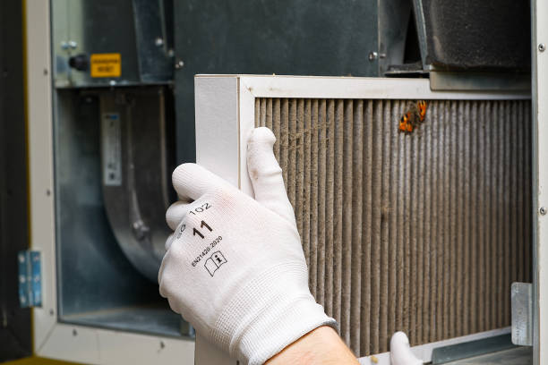 Best Local Air Duct Cleaning Services  in Florissant, MO