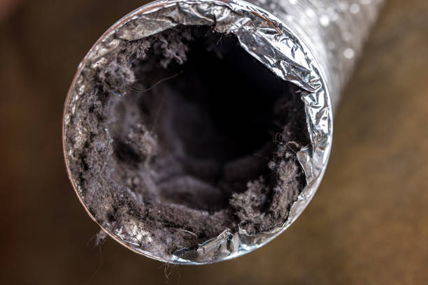 Best HVAC Maintenance and Cleaning  in Florissant, MO